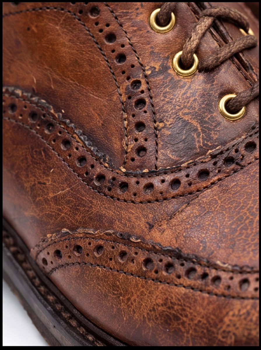 Rust Cap Oxford angle 8